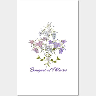 Summer Flowers - Bouquet of Phloxes- Phlox flower Posters and Art